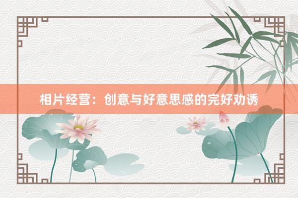 相片经营：创意与好意思感的完好劝诱