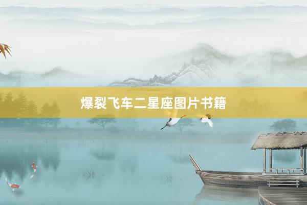 爆裂飞车二星座图片书籍