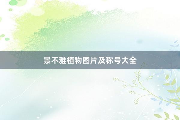景不雅植物图片及称号大全