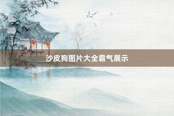 沙皮狗图片大全霸气展示