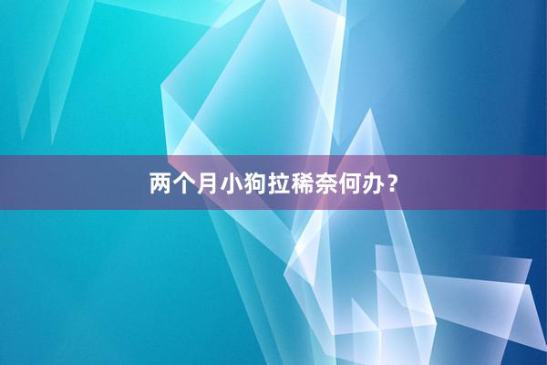 两个月小狗拉稀奈何办？